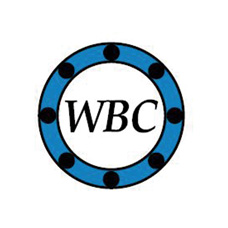 WBC 스러스트 베어링 카달로그